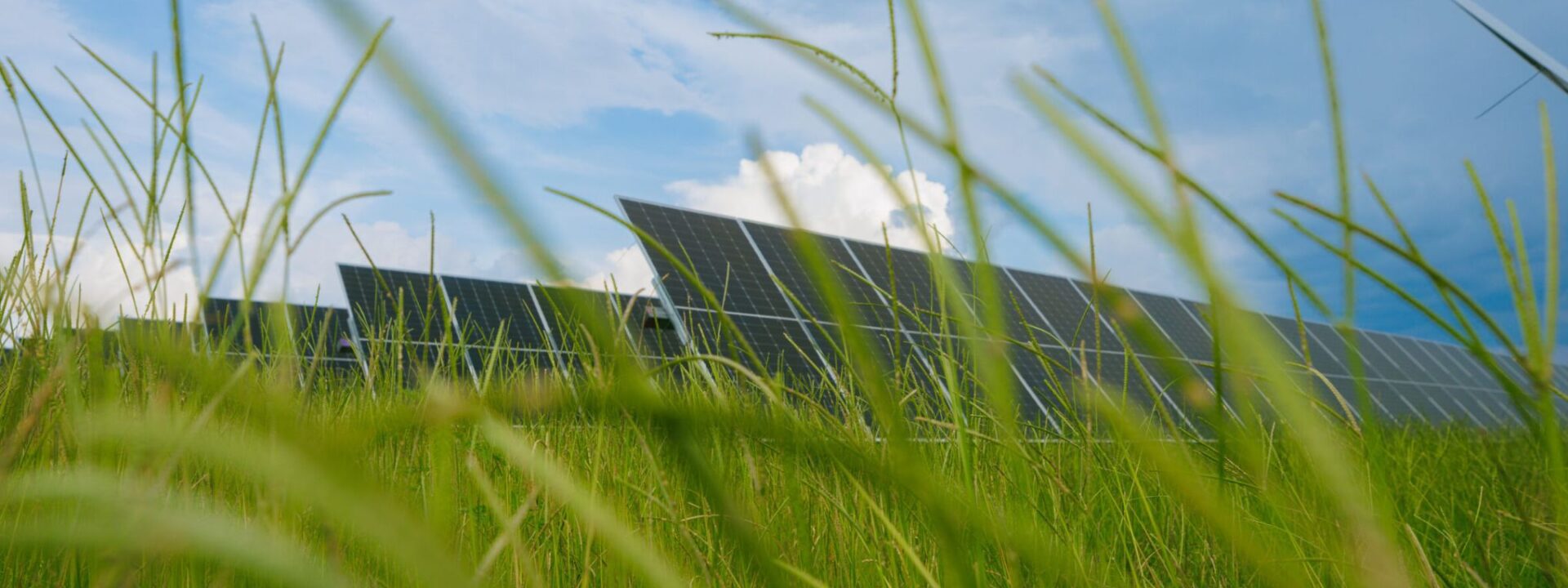 Oregon greenlights one of the largest solar and storage projects in the US