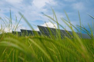 Oregon greenlights one of the largest solar and storage projects in the US