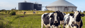 Here’s how Consumers Energy is working toward clean energy goals