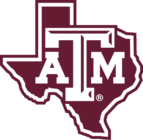 Texas A&M wants to host next-gen nuclear, small modular reactor testing